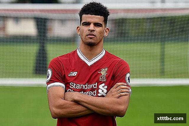 解读bevictor伟德